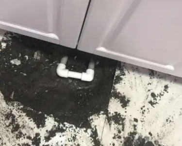 永善查漏水哪家好